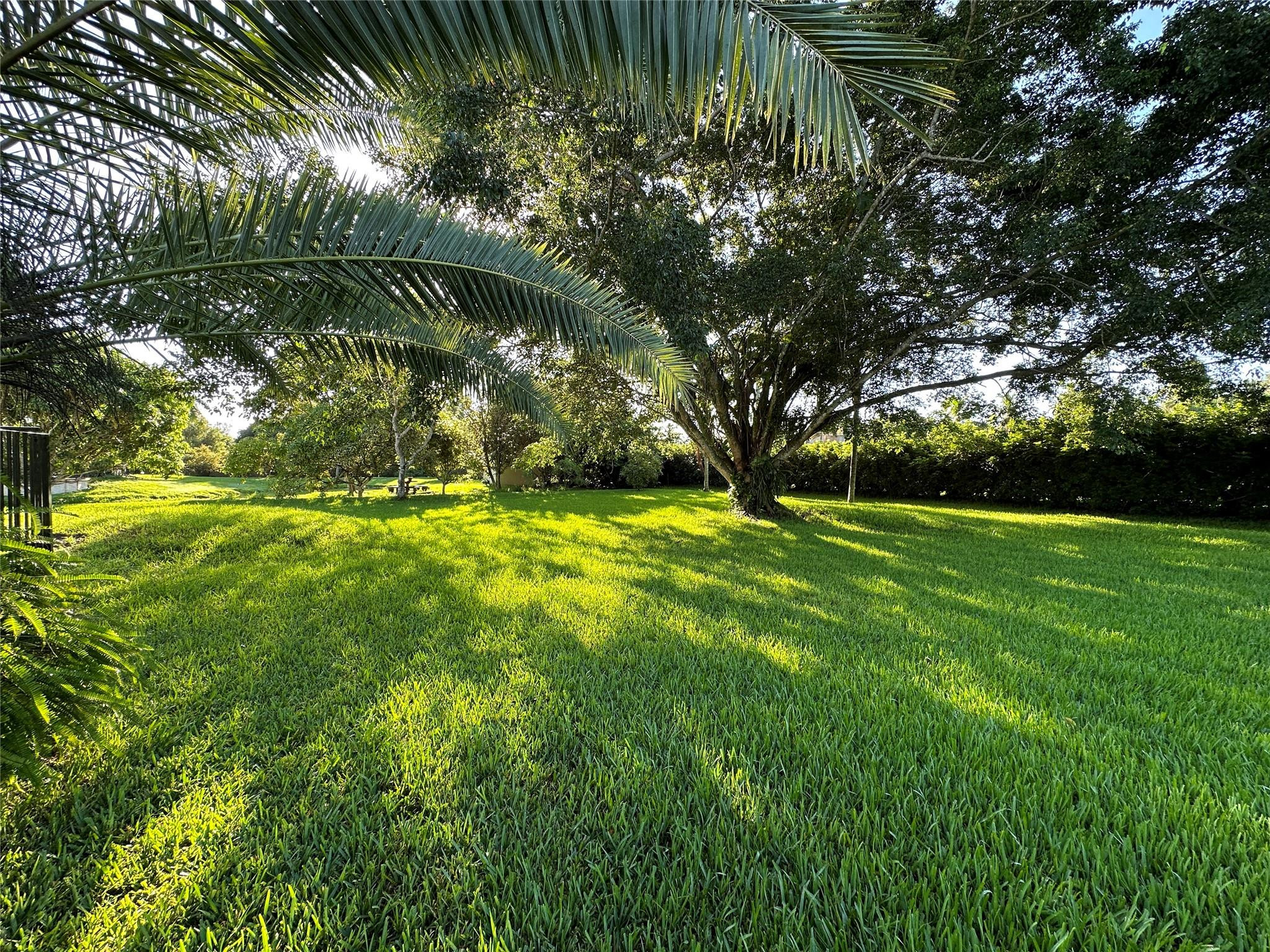 12970 Southwest 52nd Street Southwest Ranches, FL 33330 - Photo 12 of 15 Photo 12