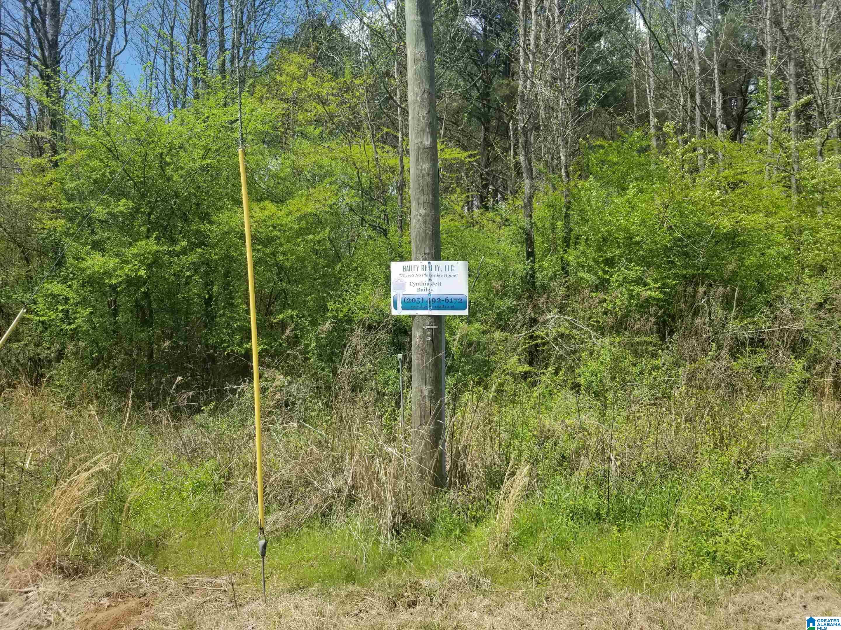 0 North Jim Bagwell Road Empire, AL 35063 - Photo 1 of 2