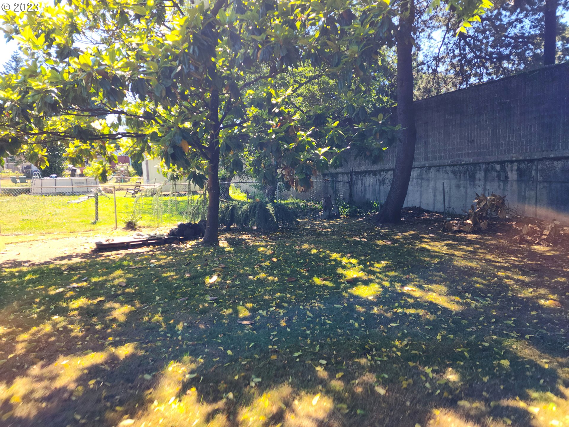 20732 Southeast Main Drive Gresham, OR 97030 - Photo 18 of 27 a view of a tree in a yard with wooden fence