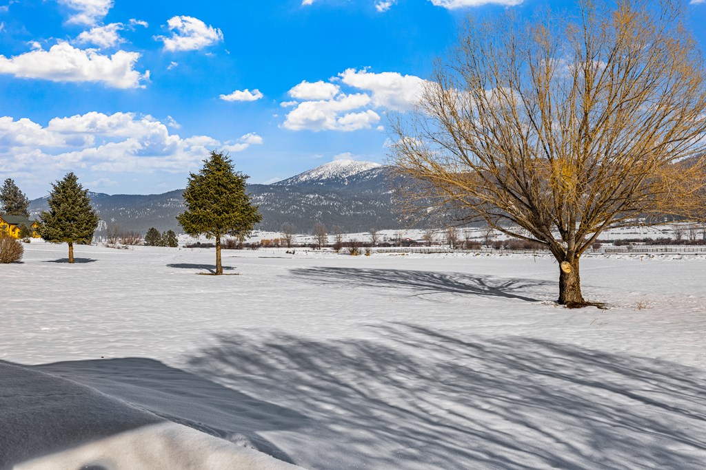 3850 Hot Springs Road New Meadows, ID 83654 - Photo 57 of 78