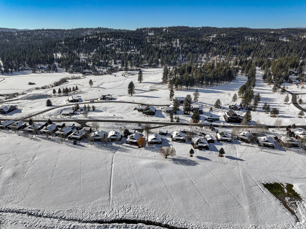 3850 Hot Springs Road New Meadows, ID 83654 - Photo 61 of 78