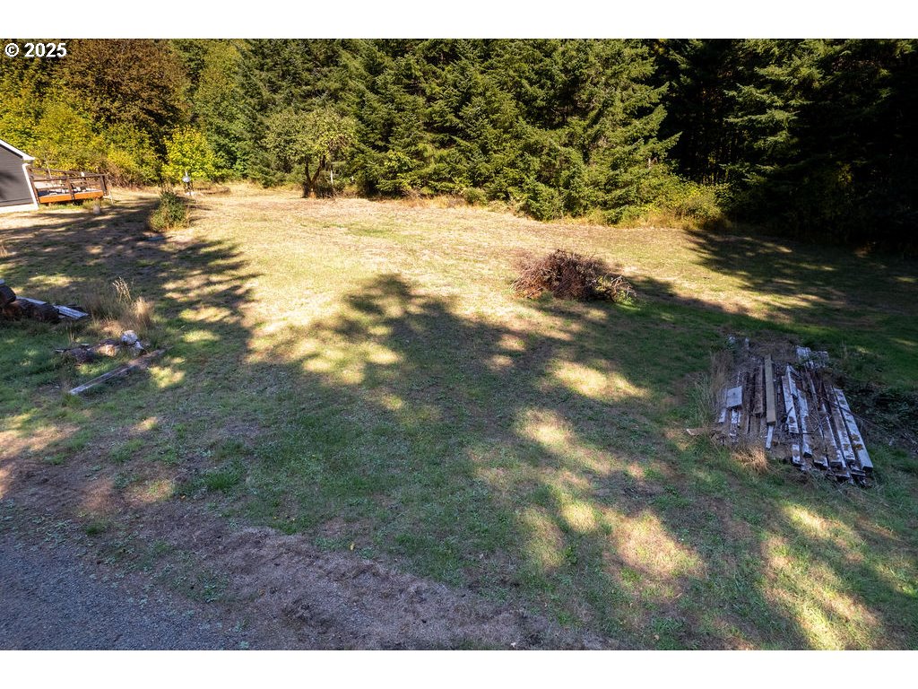 35349 Blitz Lane Blodgett, OR 97326 - Photo 31 of 47 a view of outdoor space and yard