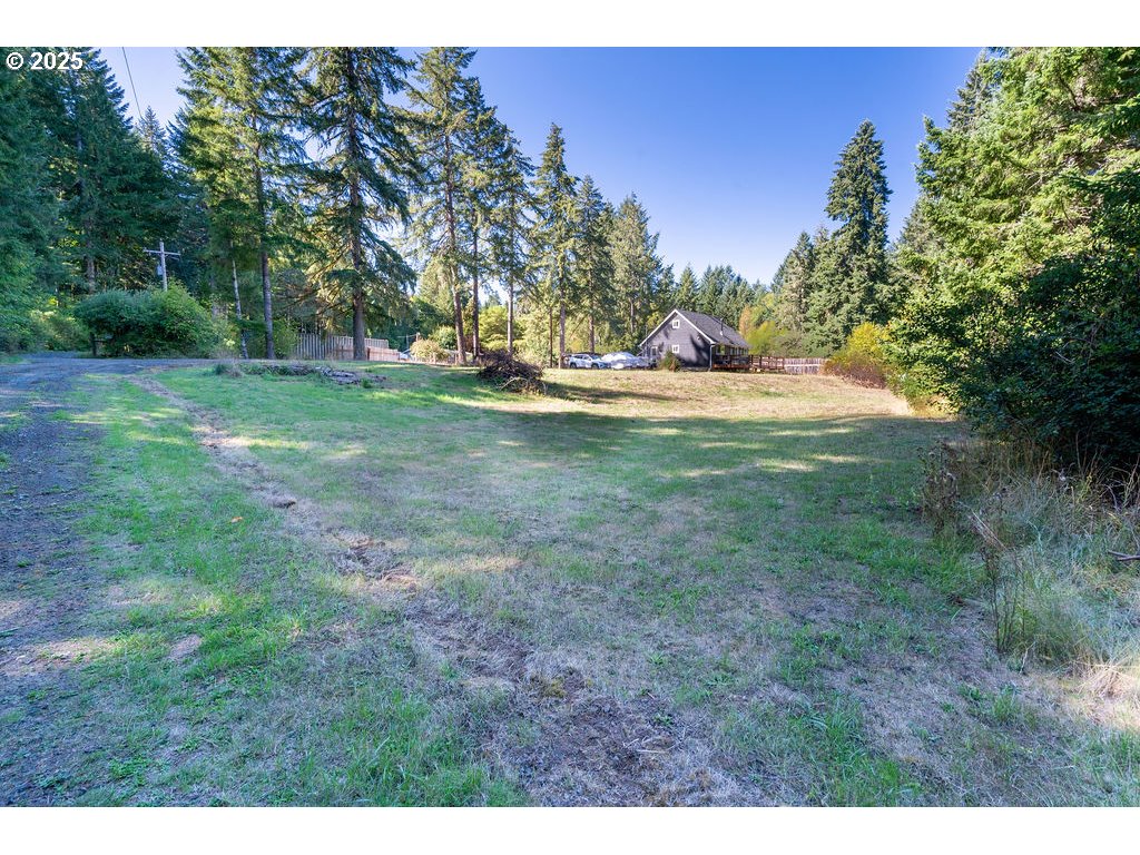 35349 Blitz Lane Blodgett, OR 97326 - Photo 45 of 47 a view of yard with tree and green space