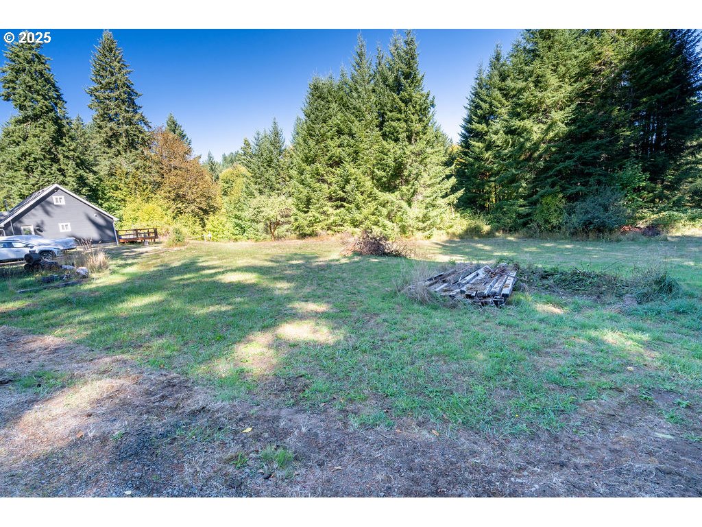 35349 Blitz Lane Blodgett, OR 97326 - Photo 46 of 47 a backyard of a house with lots of green space