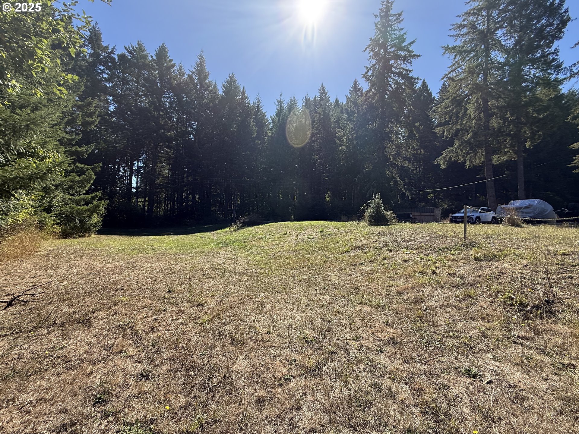 35349 Blitz Lane Blodgett, OR 97326 - Photo 5 of 47 a view of a yard with a house