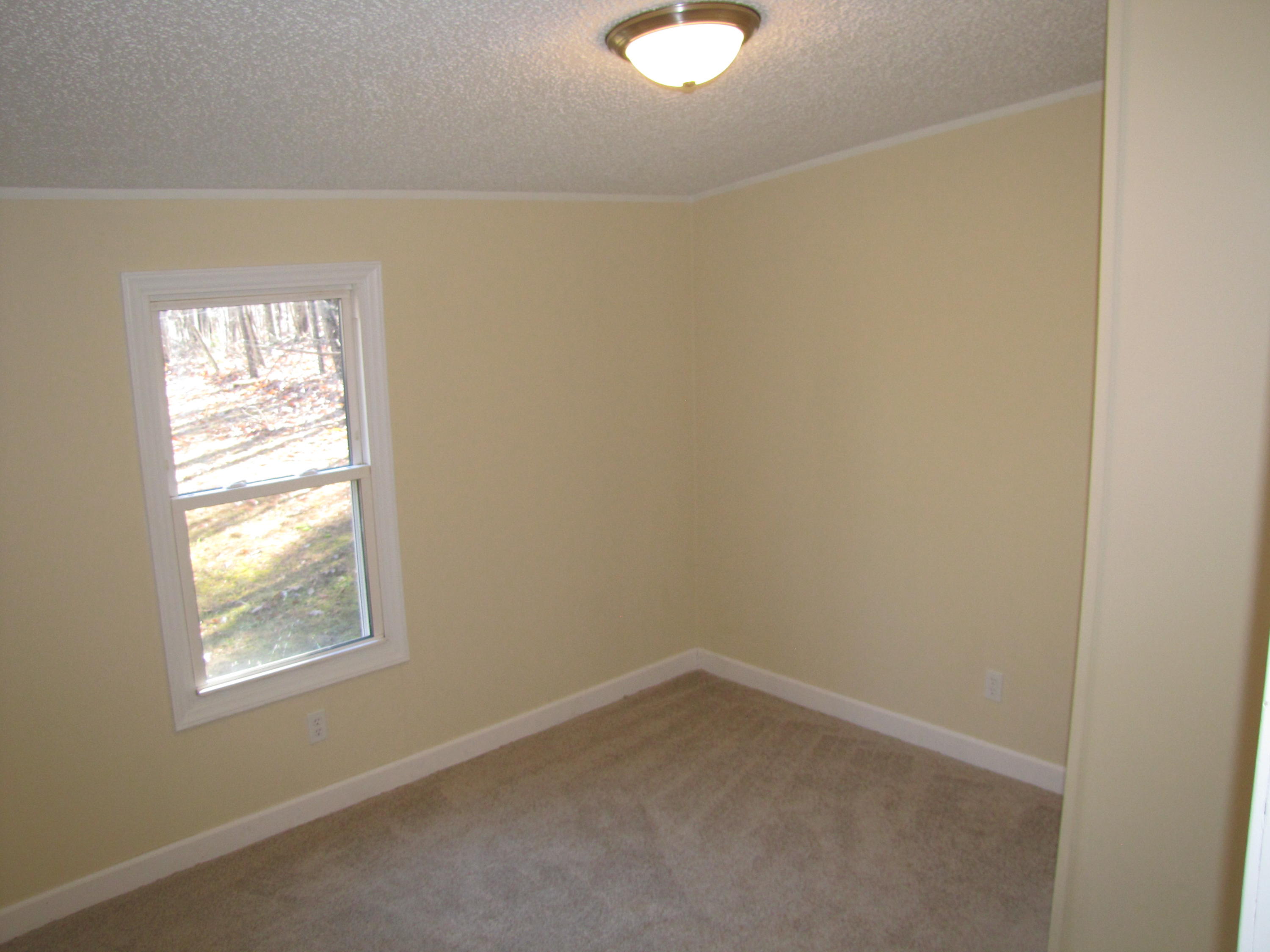 1288 Wapiti Run Road Moneta, VA 24121 - Photo 15 of 22 IMG_2693