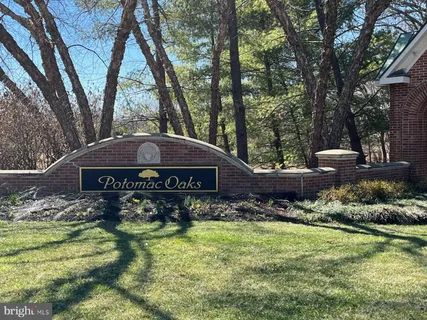a picture of a park