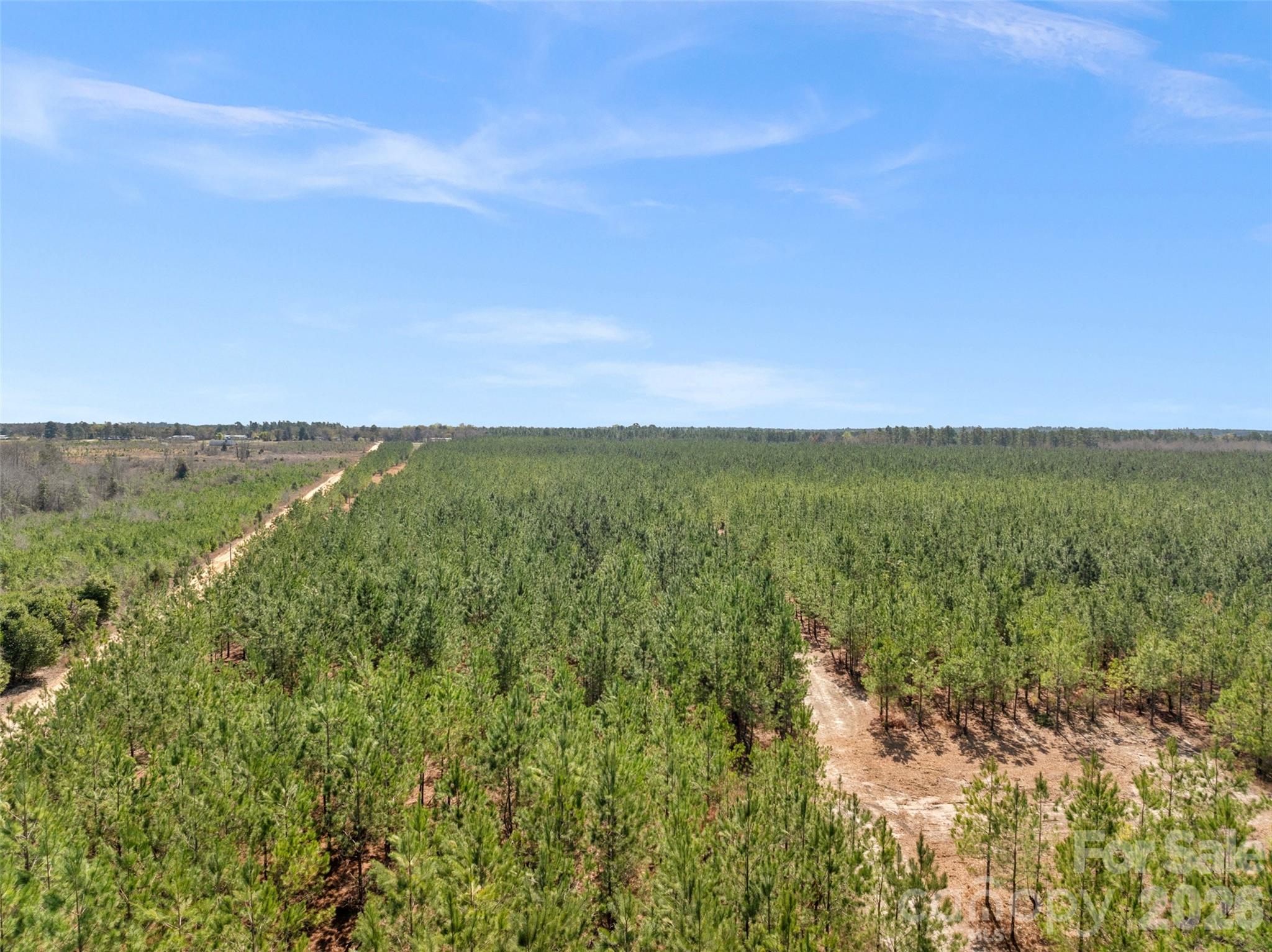 931 Charlie Johnson Road, Unit 7 Kershaw, SC 29067 - Photo 6 of 34