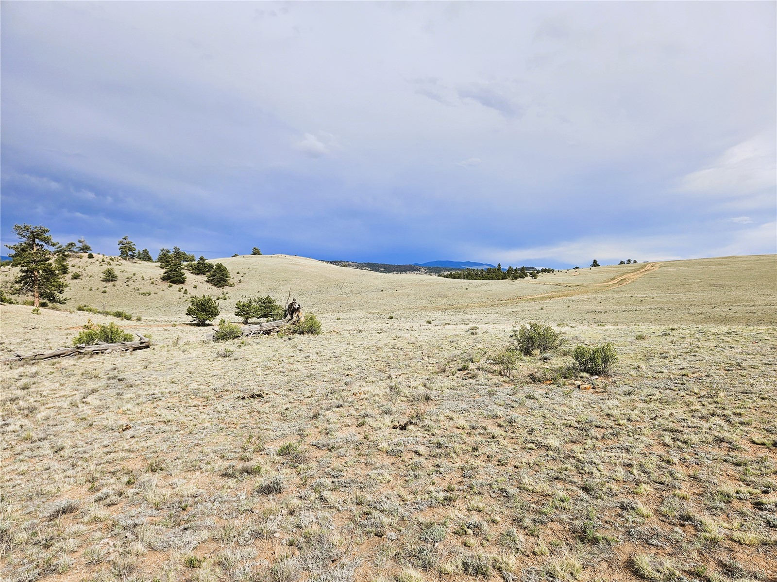 Pcs#24131 Chato Road Hartsel, CO 80449 - Photo 15 of 28