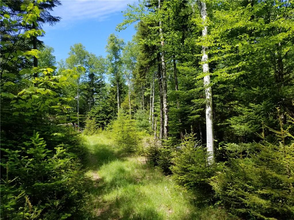 Lot 21 Pebble Beach Road Greenville, ME 04441 - Photo 4 of 5 Photo