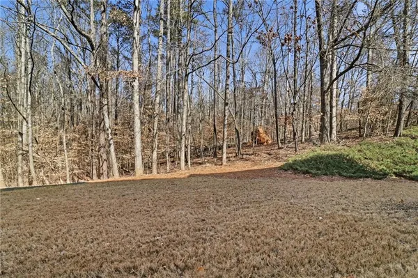 a view of yard with trees
