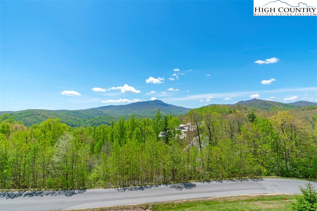 167 Red Tail Summit, Unit CE4 Boone, NC 28607 - Photo 14 of 30 Gallery Image 14