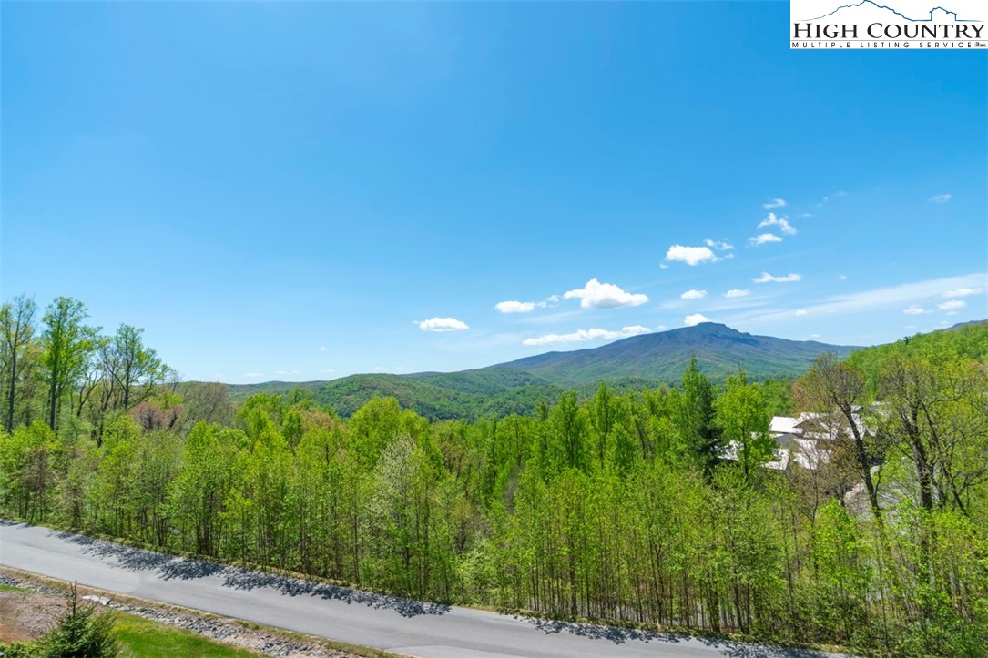 167 Red Tail Summit, Unit CE4 Boone, NC 28607 - Photo 15 of 30 Gallery Image 15
