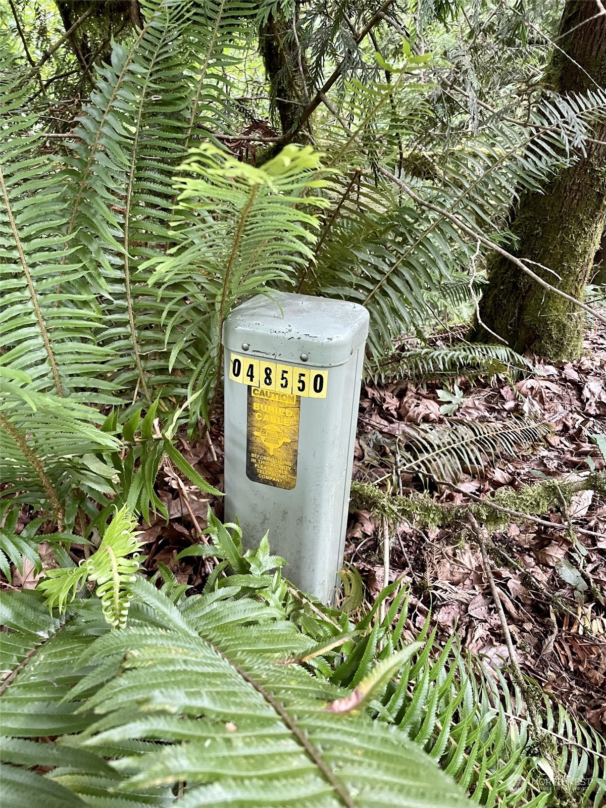 0 196th Avenue East Orting, WA 98360 - Photo 6 of 8 a view of a backyard