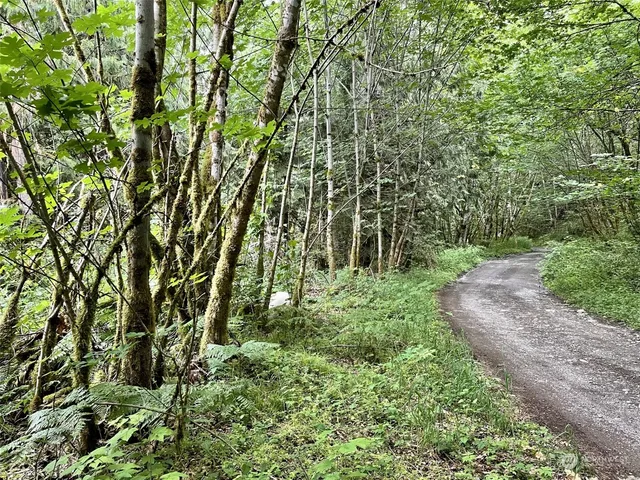 a backyard of a house with lots of green space