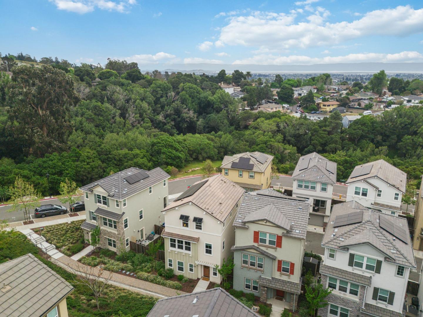 24185 Amaranth Loop Hayward, CA 94541 - Photo 41 of 52