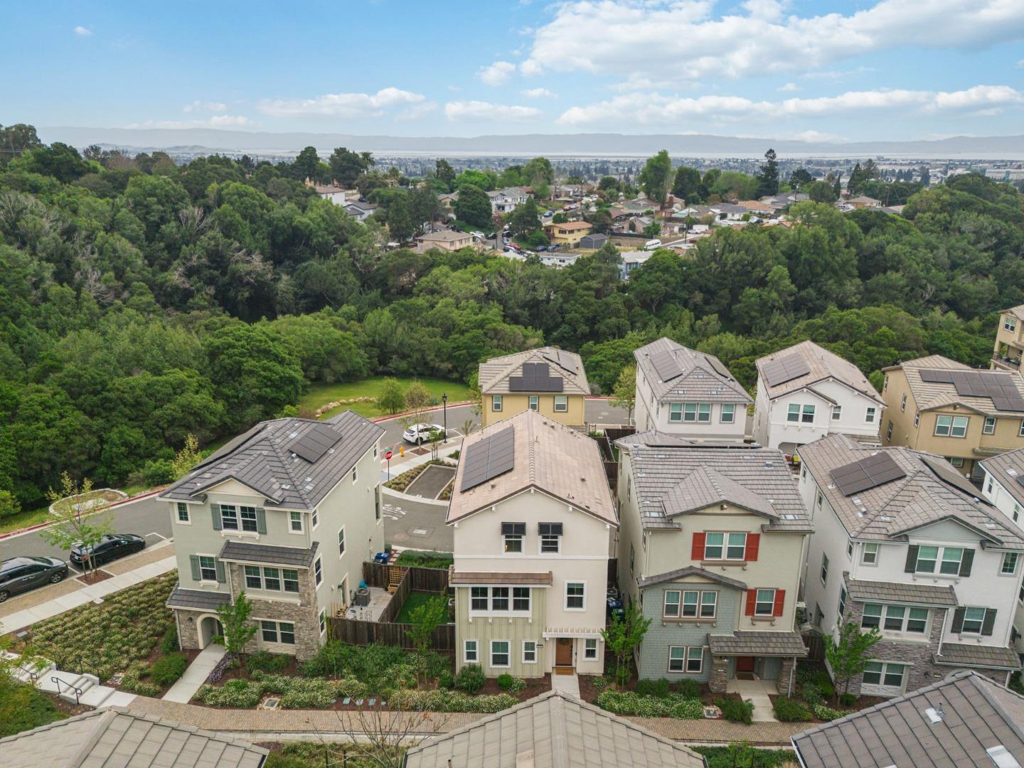 24185 Amaranth Loop Hayward, CA 94541 - Photo 43 of 52