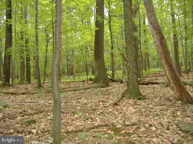 5122 Ridge Road, Unit VACANT LOTS NEXT TO Elizabethtown, PA 17022 - Photo 2 of 3 Gallery Image 2