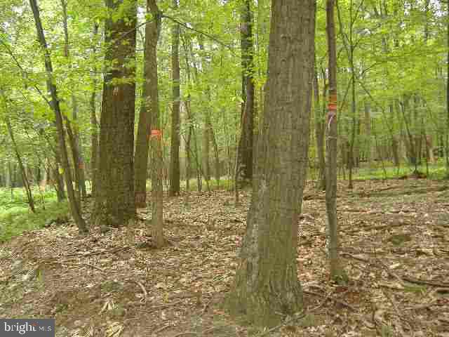5122 Ridge Road, Unit VACANT LOTS NEXT TO Elizabethtown, PA 17022 - Photo 3 of 3 Gallery Image 3