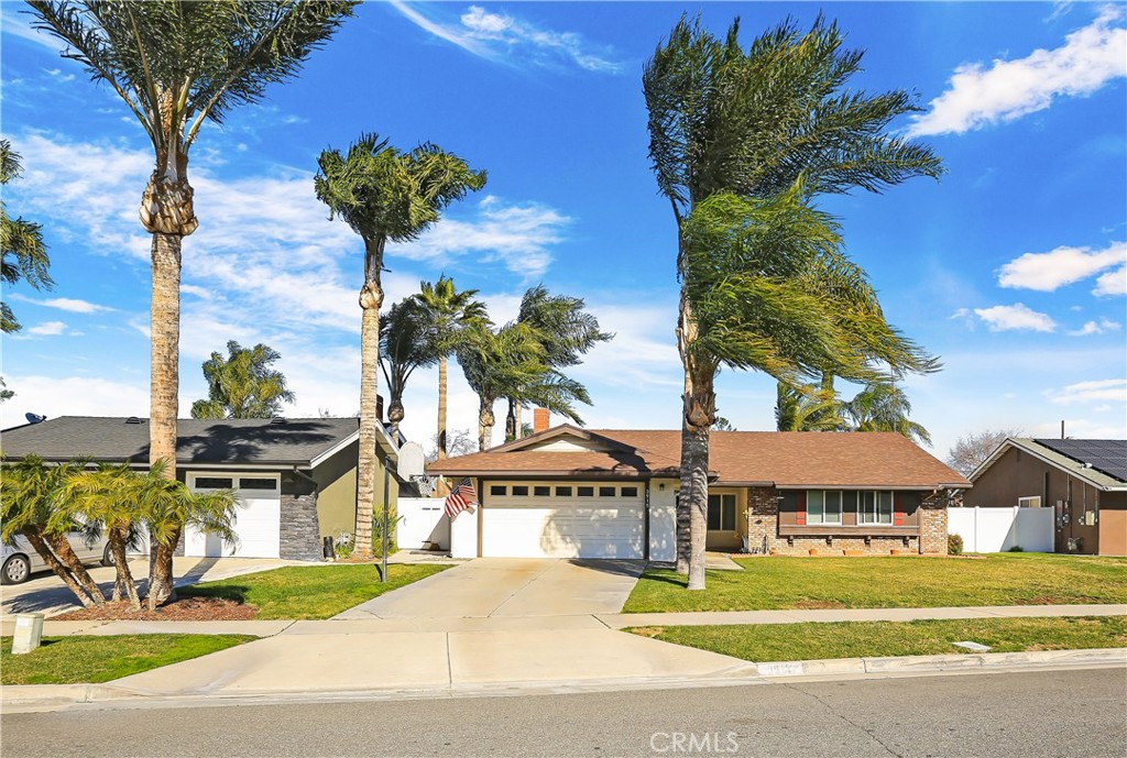 3915 Furlong Street Riverside, CA 92505 - Photo 1 of 1 a view of a house with a big yard and palm trees