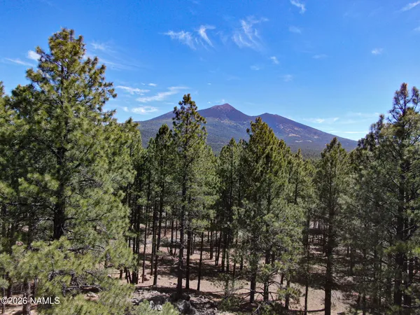 a view of outdoor space with trees