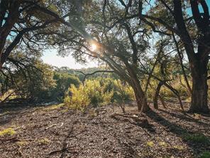 Lot 7 Rifle Ridge Burnet, TX 78611 - Photo 3 of 5 Sunlight filters through mature oak trees on this sloping acreage.