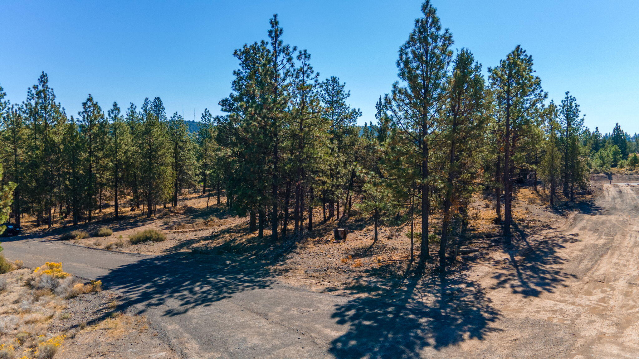 Concannon St Bend Bend, OR 97702 - Photo 13 of 33 39-web-or-mls-Riley Visuals-39