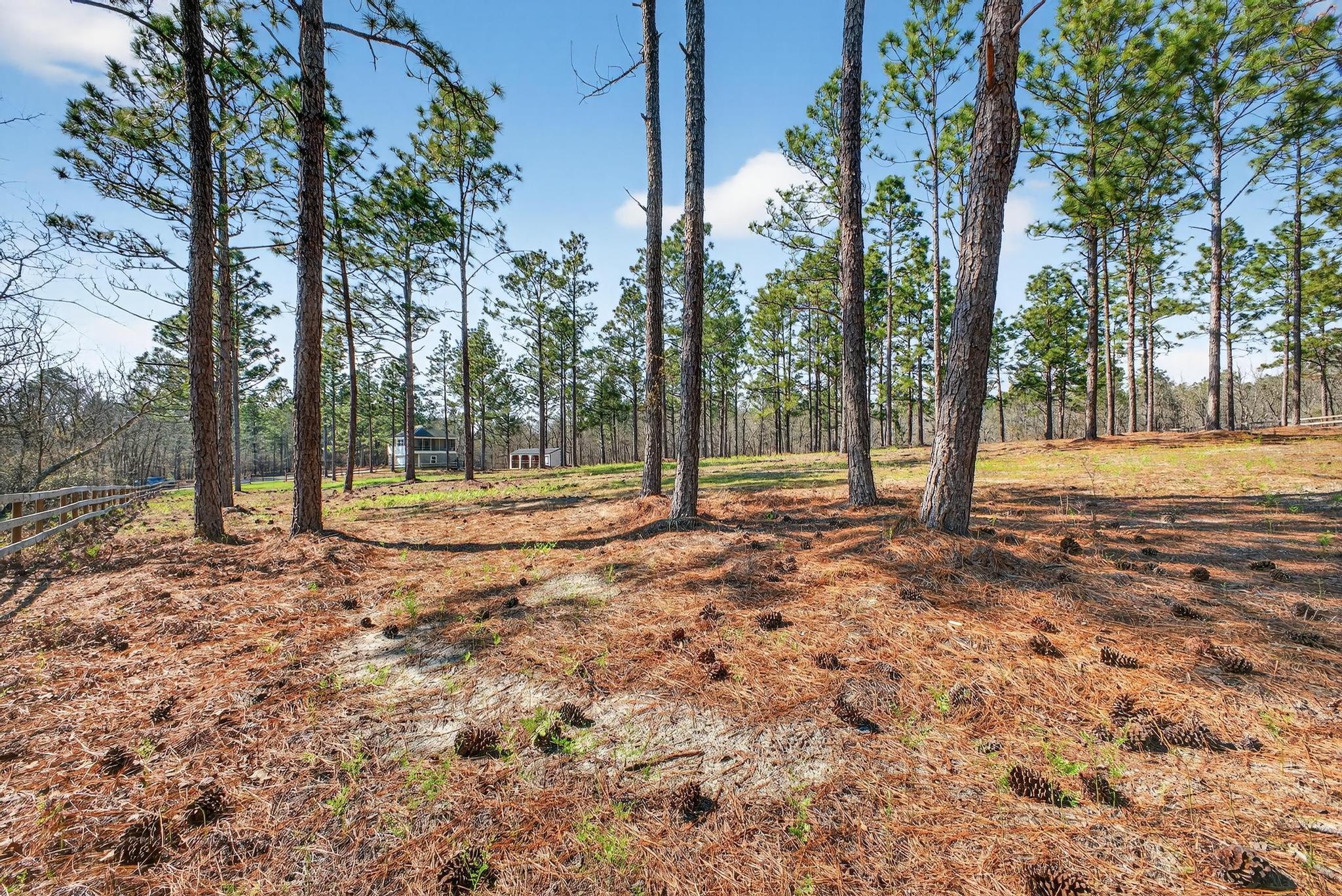 316 Cadle Crossing Road Windsor, SC 29856 - Photo 5 of 30