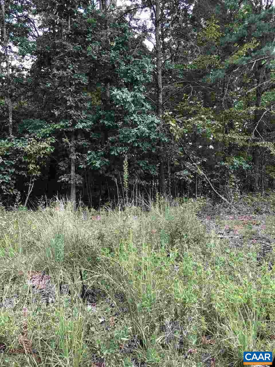0 Cedar Ridge Road Troy, VA 22974 - Photo 3 of 3 Gallery Image 3