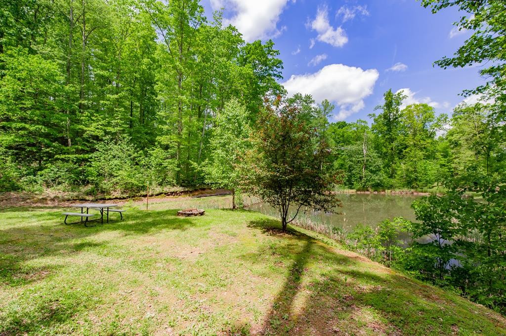 0 Ponders Gap Road Ten Mile, TN 37880 - Photo 25 of 27 Gallery Image 25