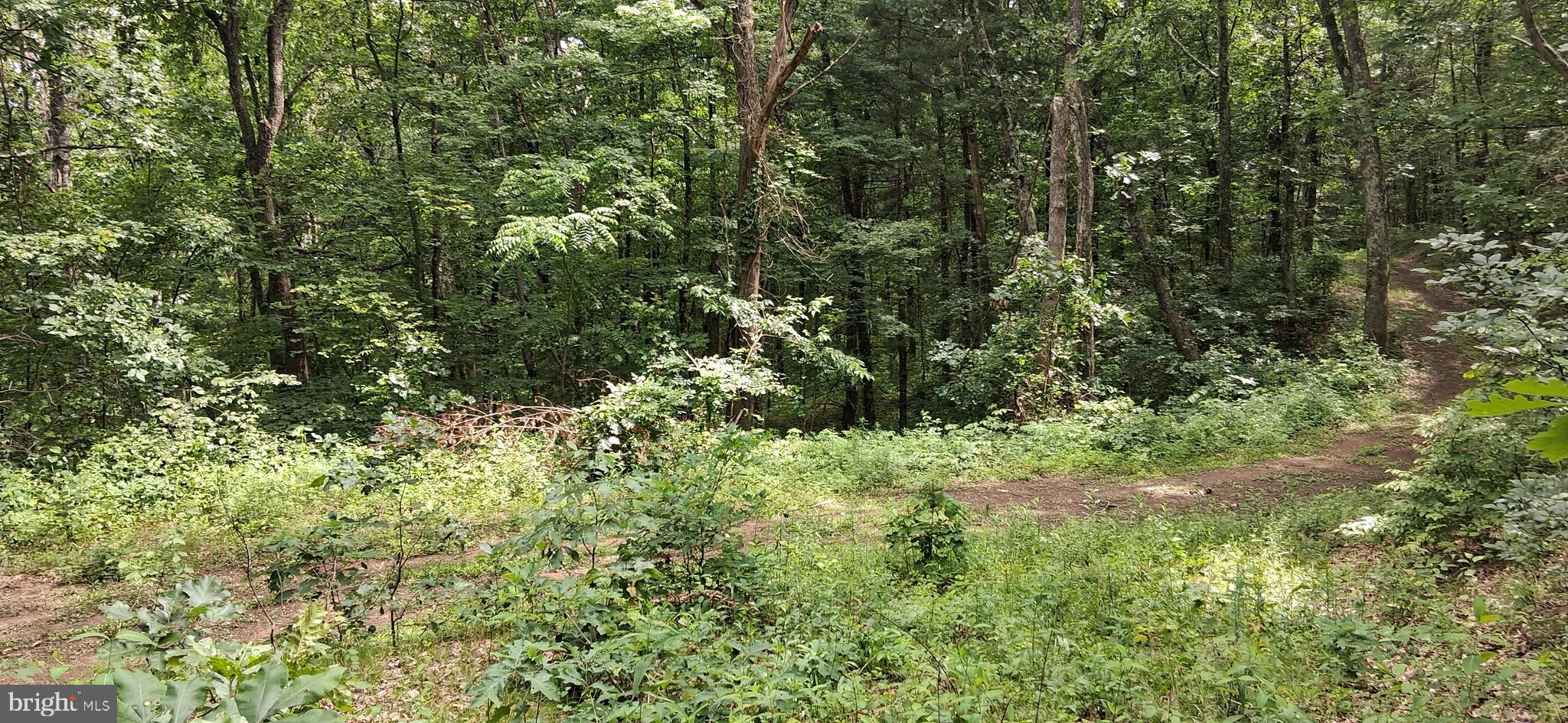 234 Coastline Road Clearville, PA 15535 - Photo 13 of 39