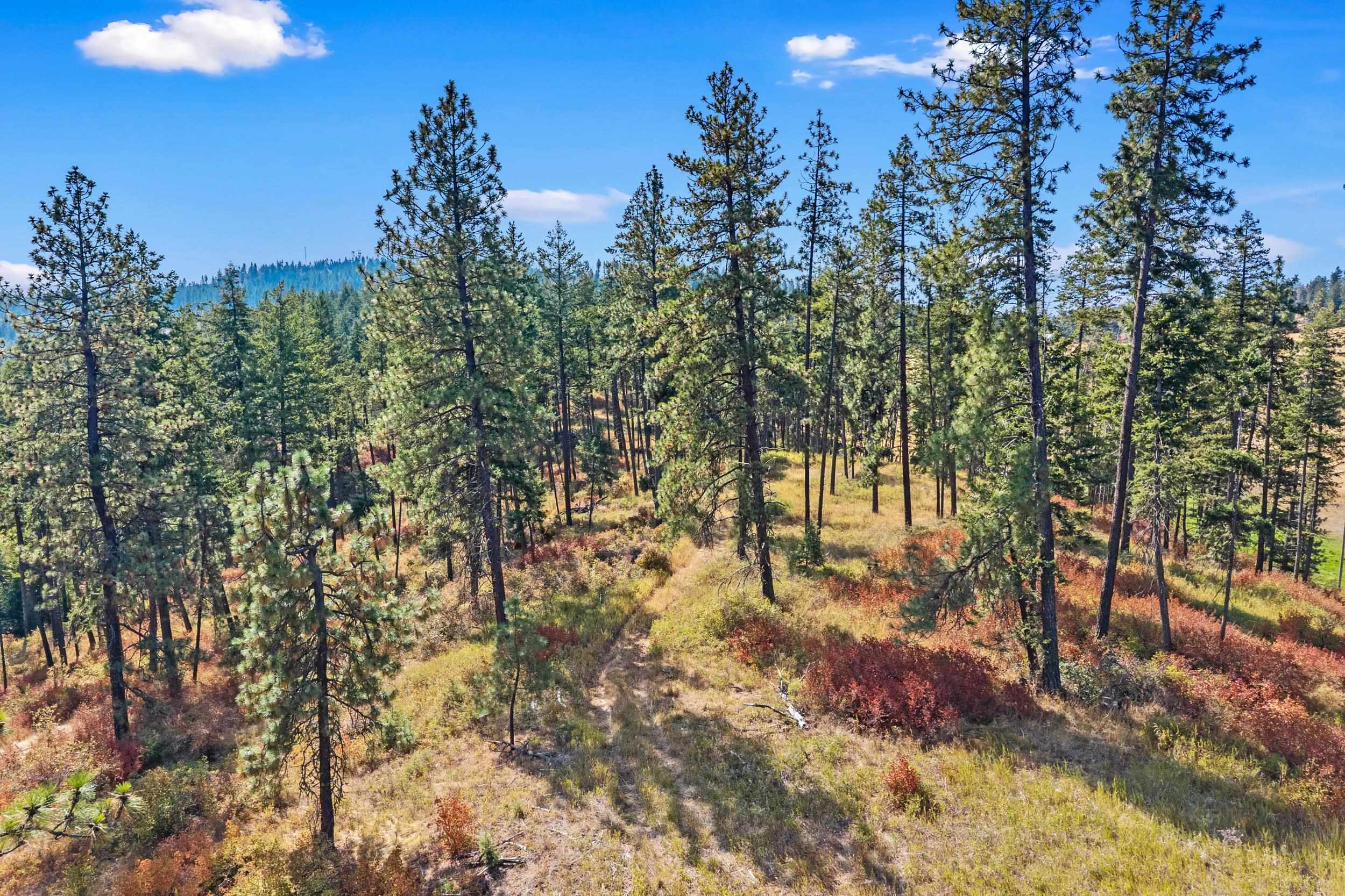 72-xx West Bernhill Road Spokane, WA 99208 - Photo 13 of 28