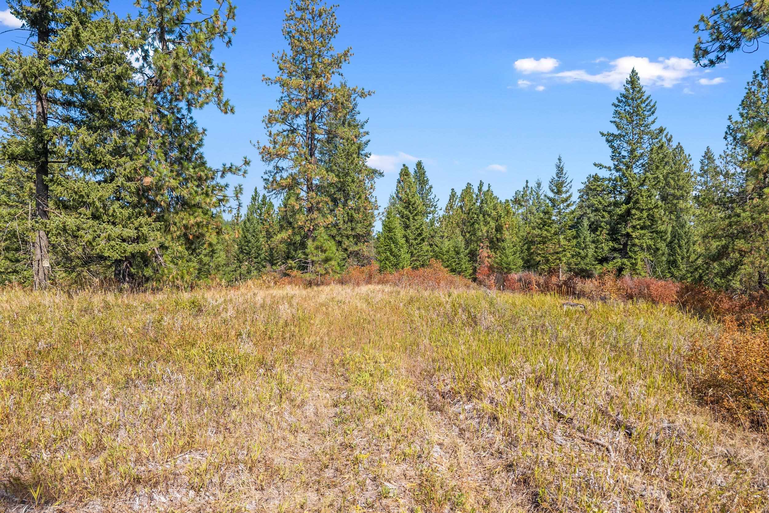 72-xx West Bernhill Road Spokane, WA 99208 - Photo 15 of 28