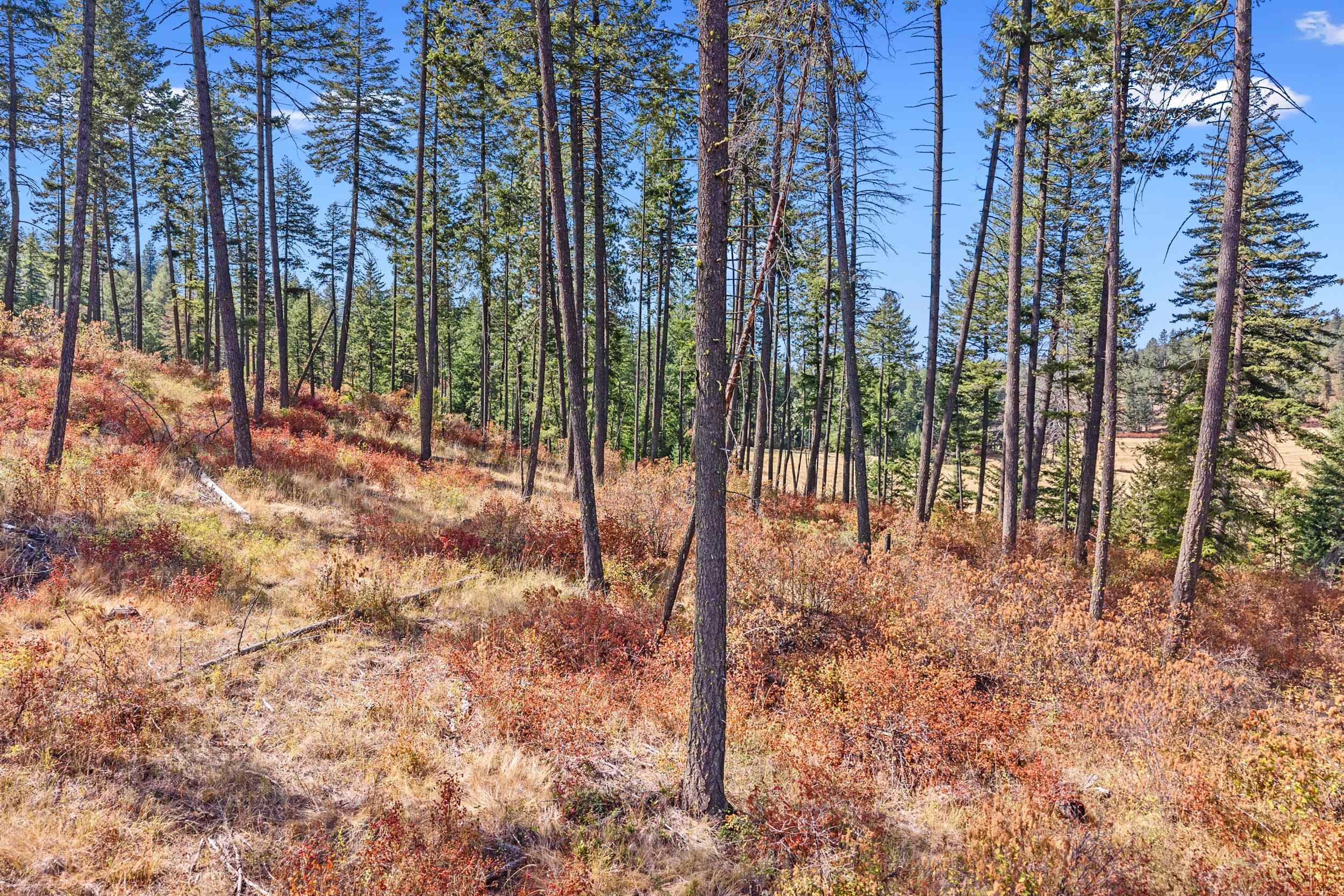 72-xx West Bernhill Road Spokane, WA 99208 - Photo 16 of 28