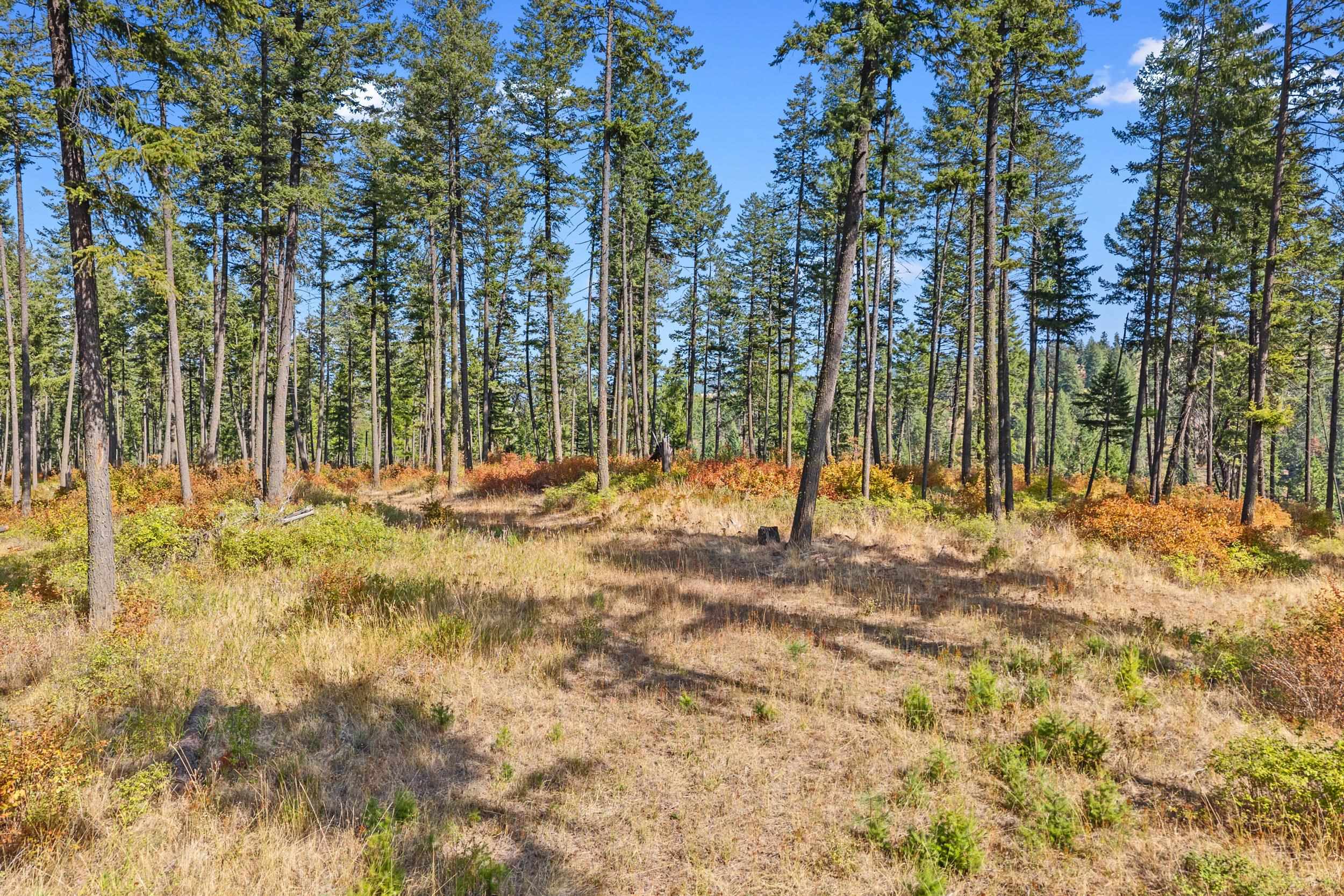 72-xx West Bernhill Road Spokane, WA 99208 - Photo 17 of 28