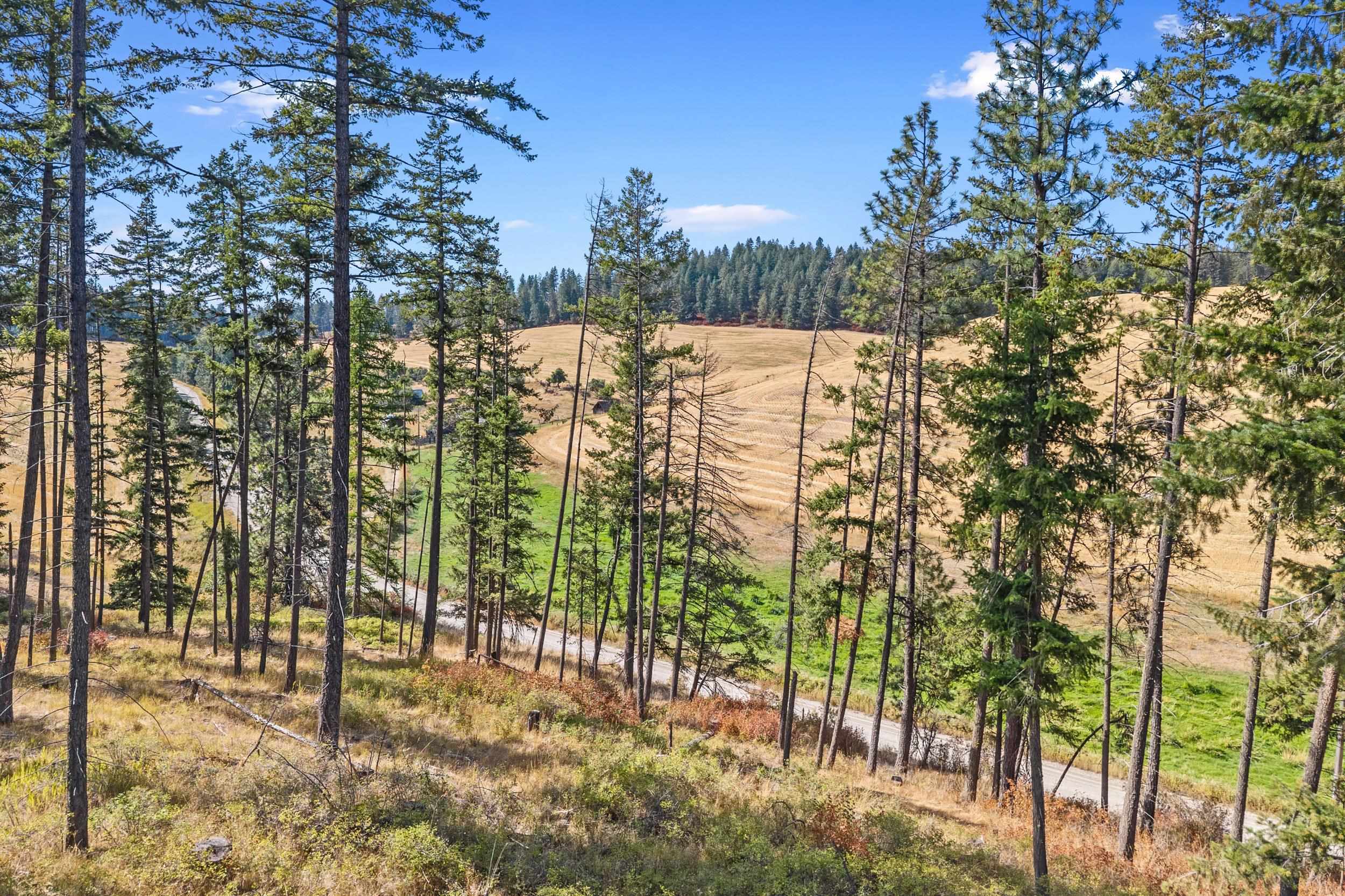 72-xx West Bernhill Road Spokane, WA 99208 - Photo 18 of 28