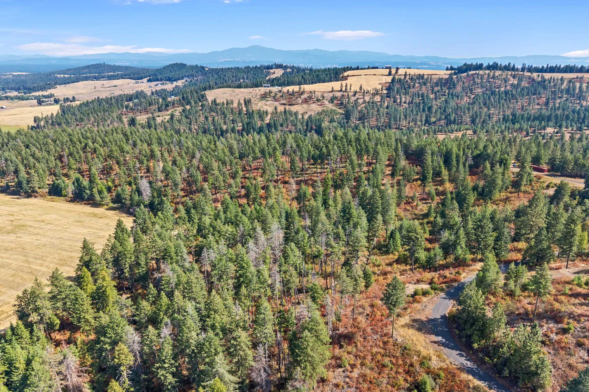 72-xx West Bernhill Road Spokane, WA 99208 - Photo 19 of 28