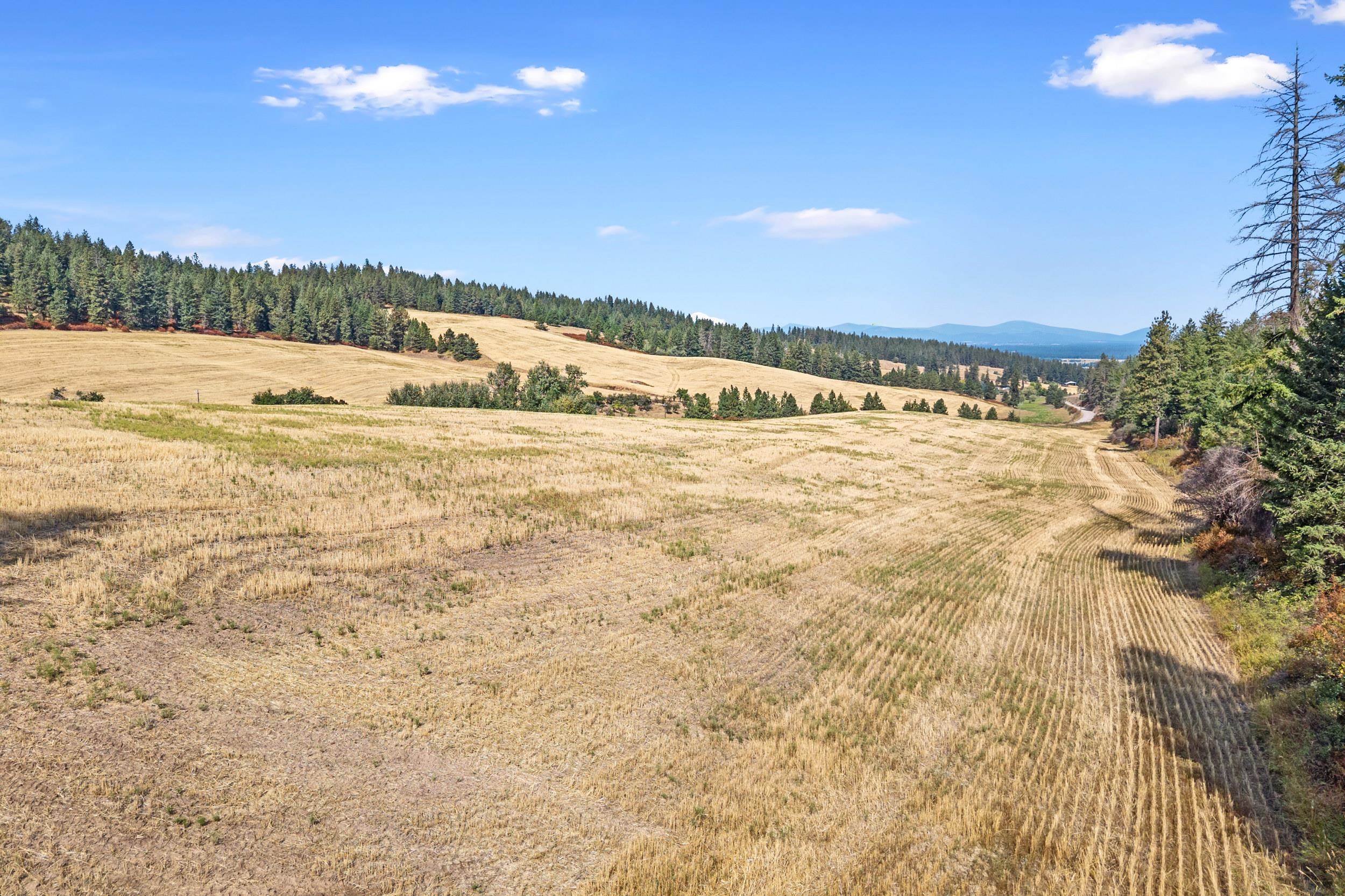 72-xx West Bernhill Road Spokane, WA 99208 - Photo 20 of 28