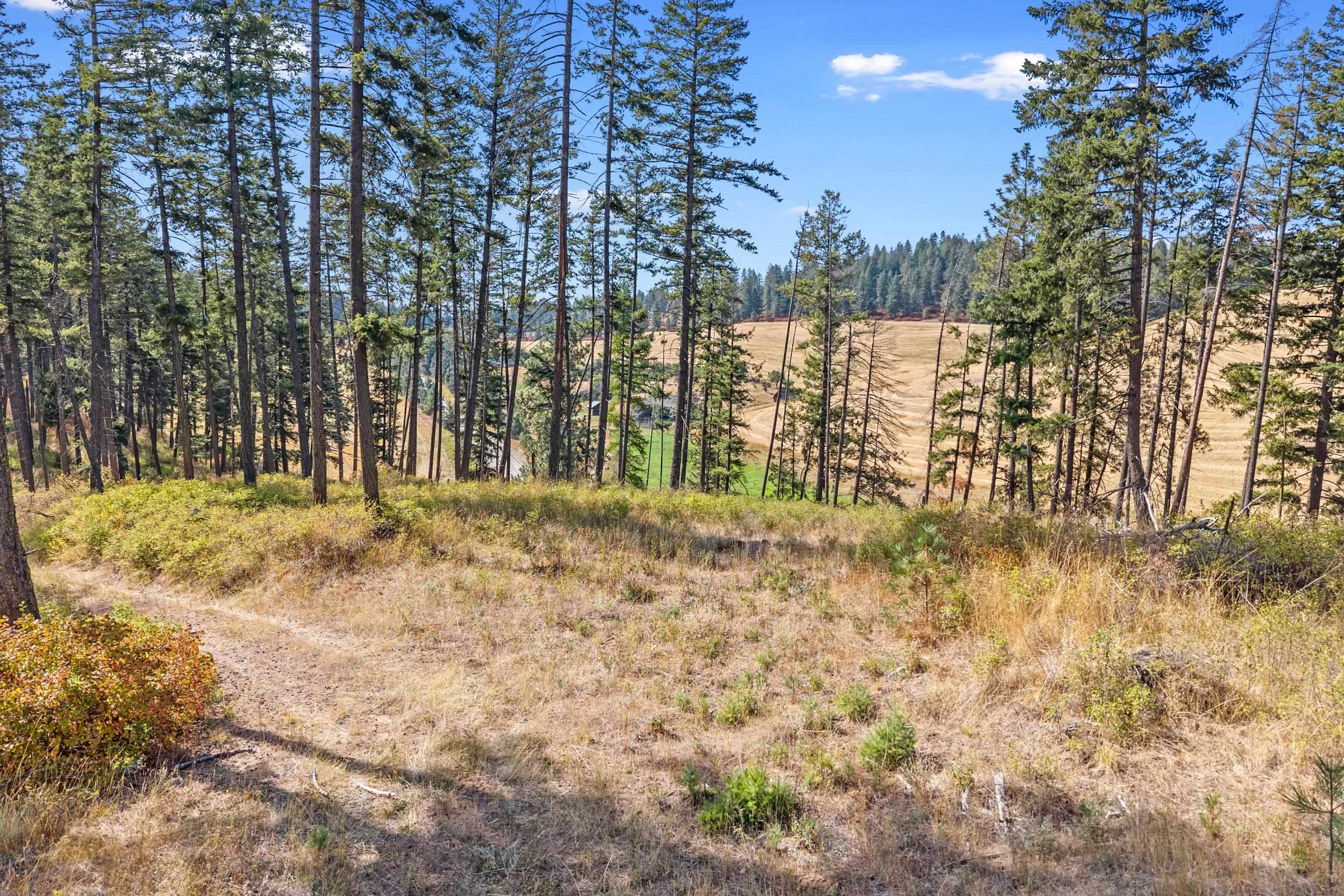 72-xx West Bernhill Road Spokane, WA 99208 - Photo 22 of 28