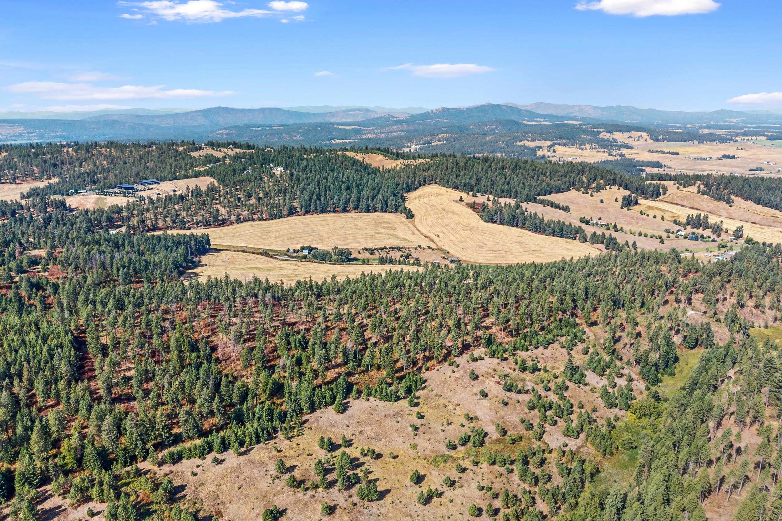 72-xx West Bernhill Road Spokane, WA 99208 - Photo 25 of 28