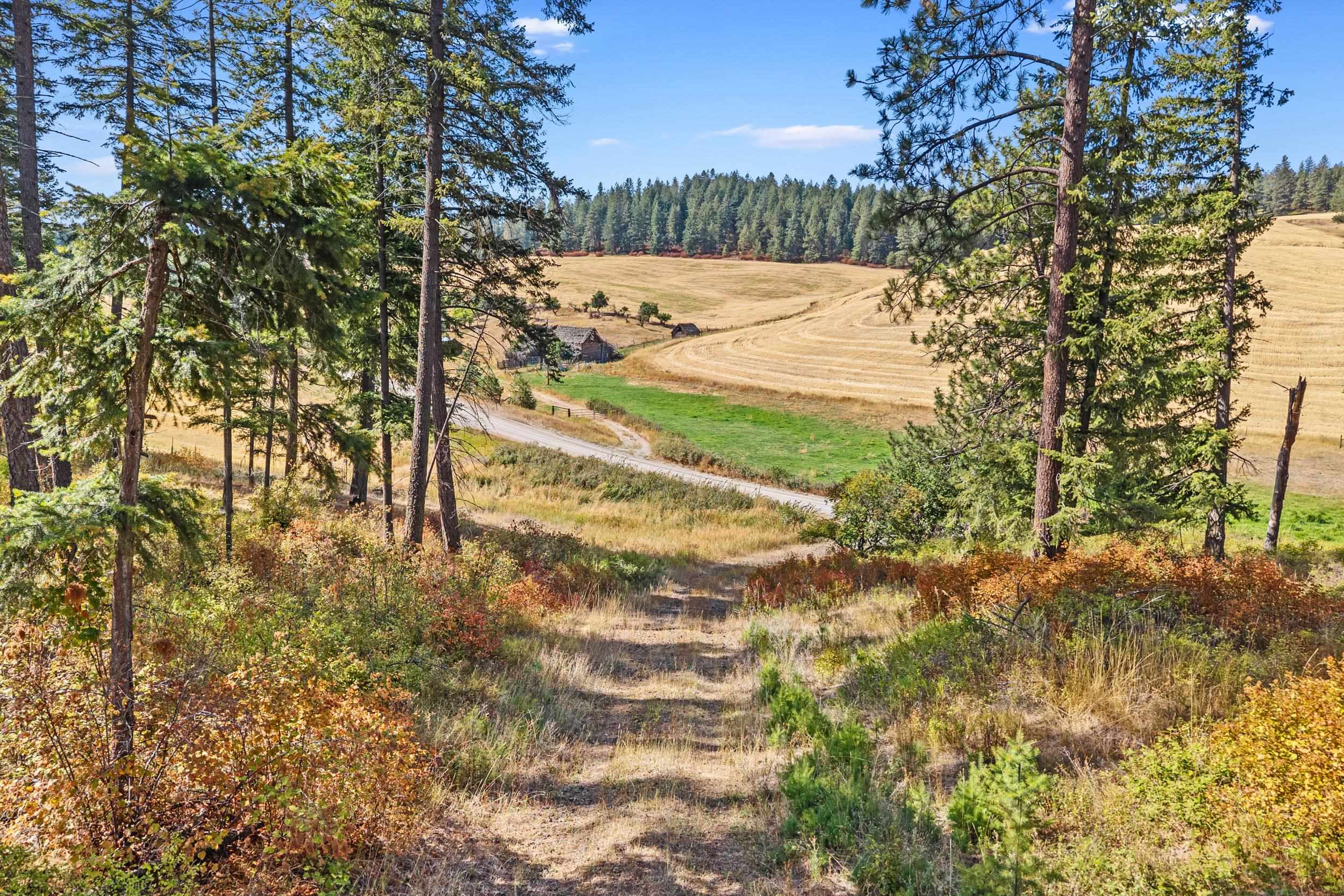 72-xx West Bernhill Road Spokane, WA 99208 - Photo 6 of 28