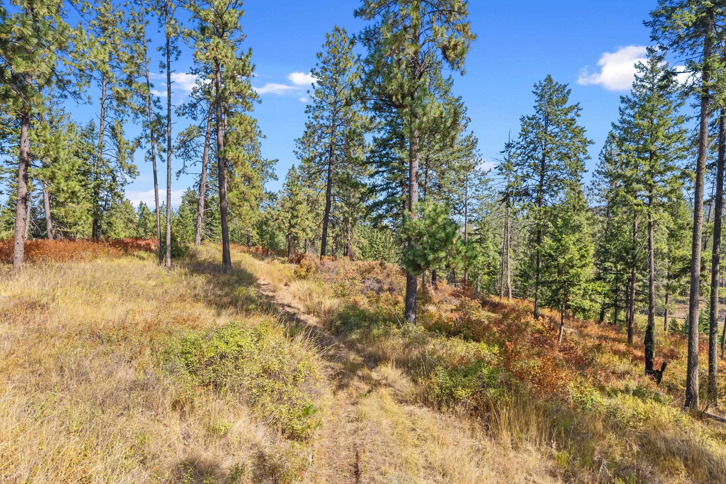 72-xx West Bernhill Road Spokane, WA 99208 - Photo 9 of 28