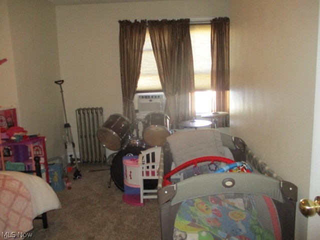 6183 Turney Road Cleveland, OH 44125 - Photo 16 of 34 Gallery Image 16