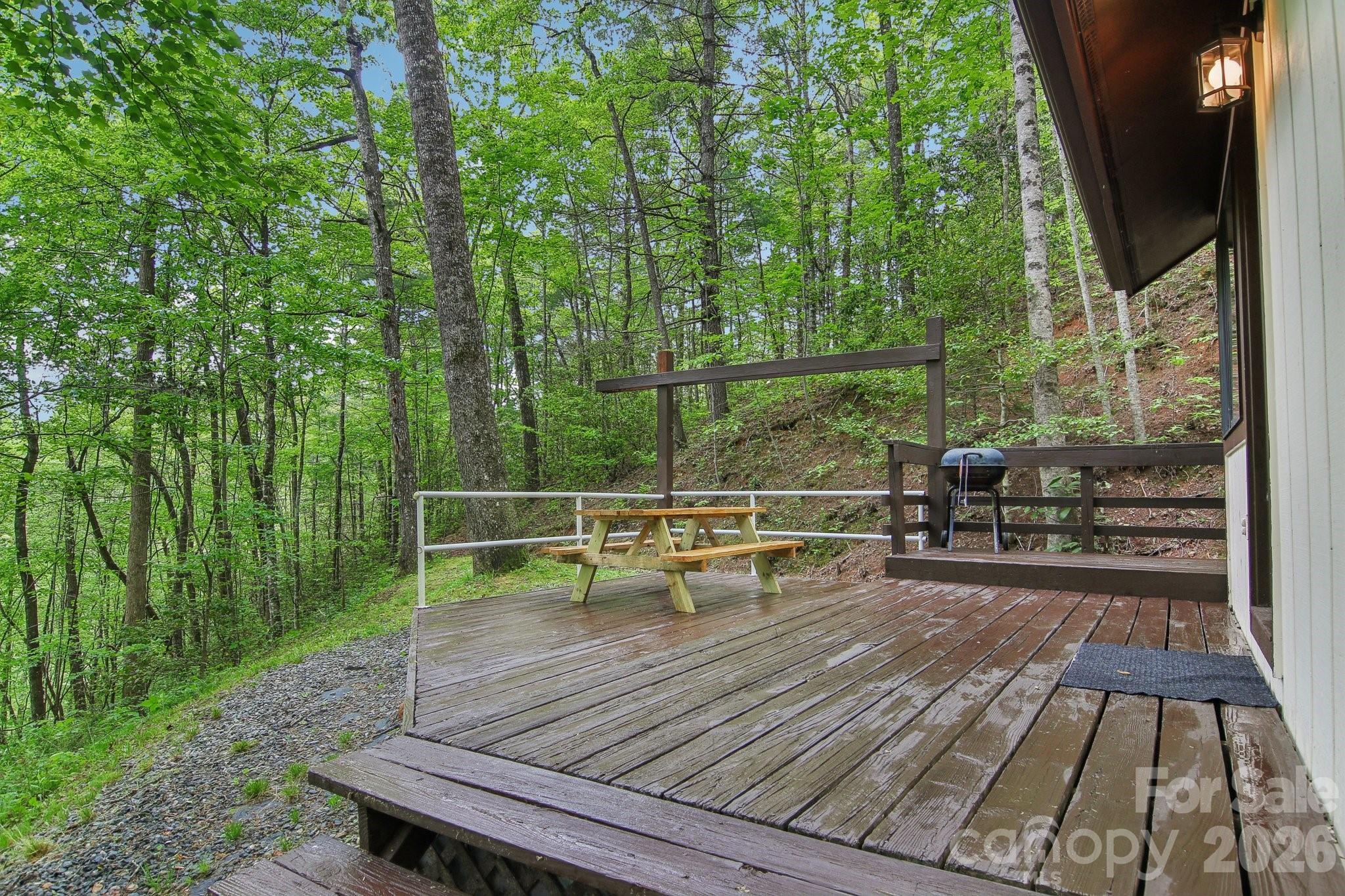 291 Dills Road Bryson City, NC 28713 - Photo 32 of 35
