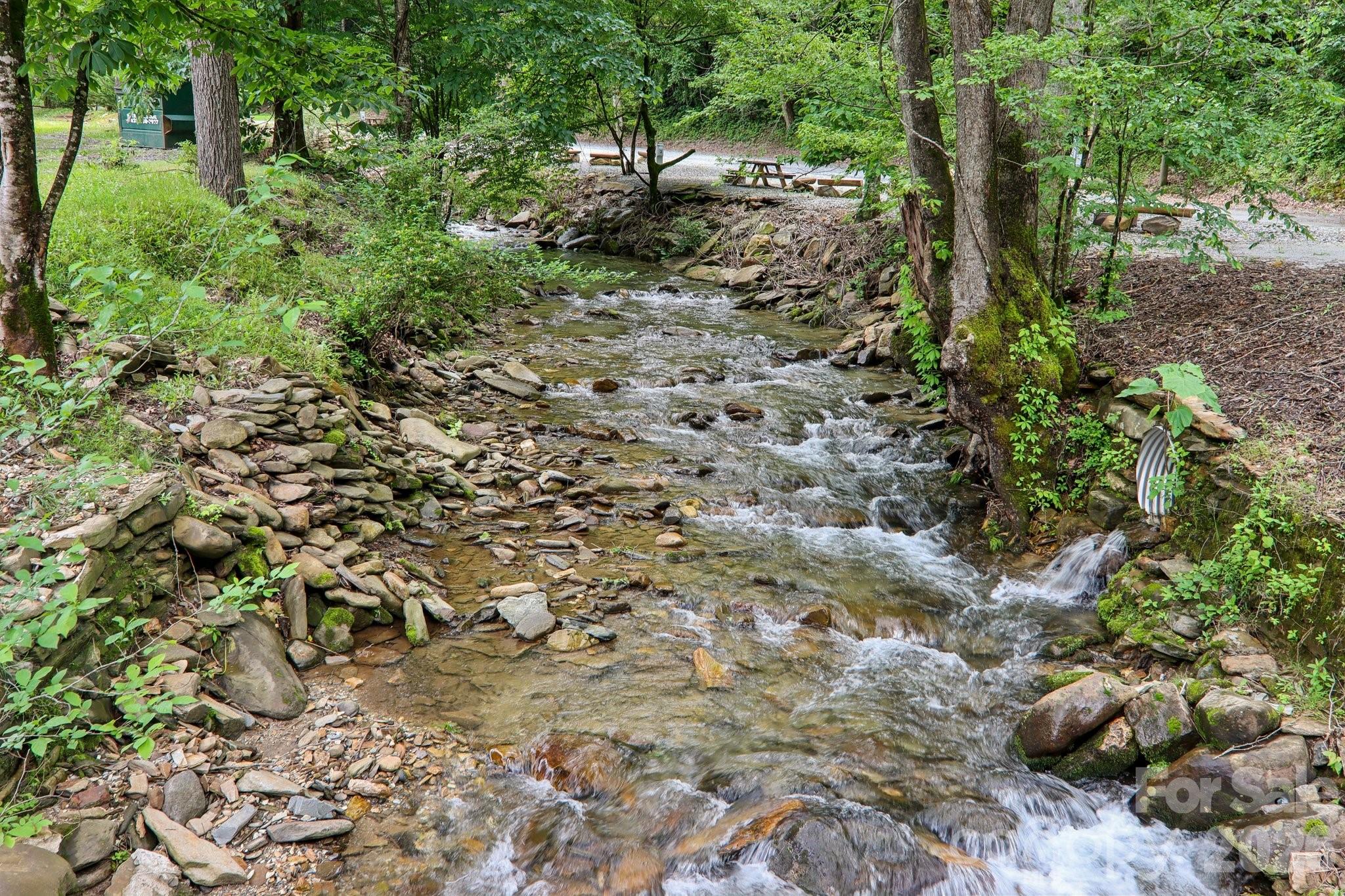 291 Dills Road Bryson City, NC 28713 - Photo 33 of 35