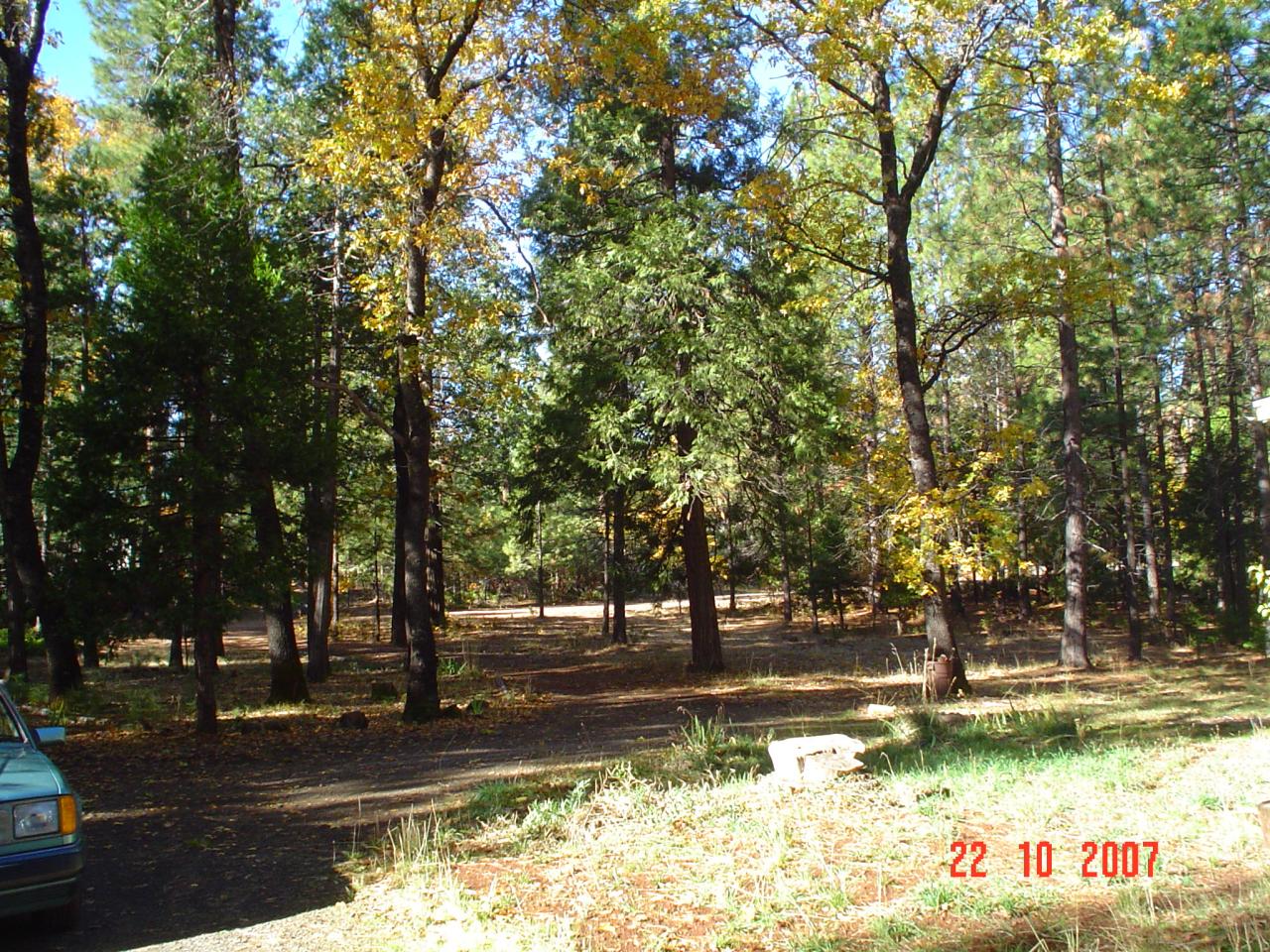 30389 Whitmore Road Whitmore, CA 96096 - Photo 2 of 6 leval and nice trees