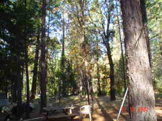 30389 Whitmore Road Whitmore, CA 96096 - Photo 5 of 6 nice place for a home