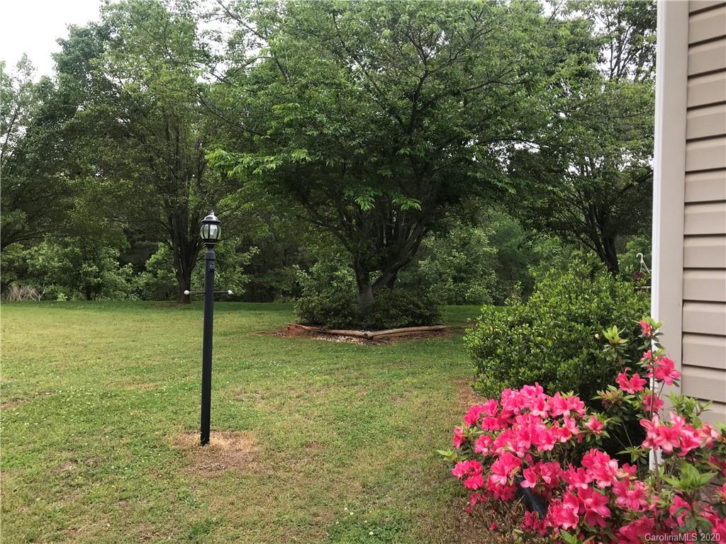480 Hester Mill Road Rutherfordton, NC 28139 - Photo 5 of 38 a small yard covered with tall trees