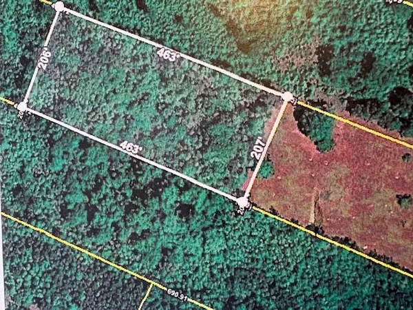 $14,000 | 0 Youngs Road, Eutawville, SC 29048