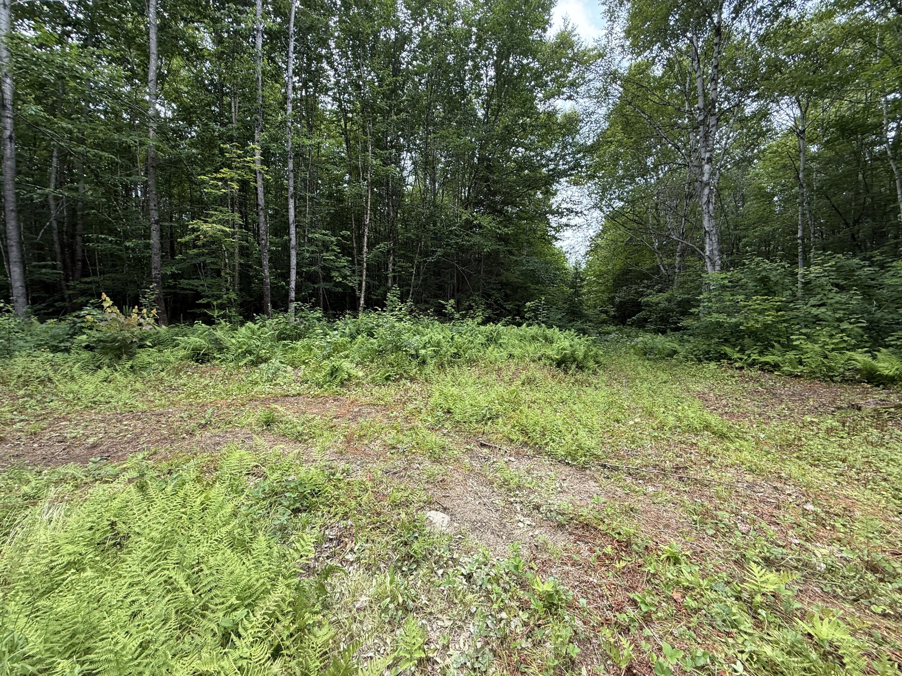 403 Ackley Pond Road Patten, ME 04765 - Photo 15 of 20 IMG_2365